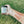 Load image into Gallery viewer, Honey Dew - Skin Calming Salve