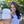 Load image into Gallery viewer, Honey Dew - Skin Calming Salve