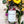 Load image into Gallery viewer, Serendipity - Body Oil