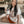 Load image into Gallery viewer, College Life Collection