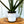 Load image into Gallery viewer, Spirituali-Tea - Green Tea Body Scrub